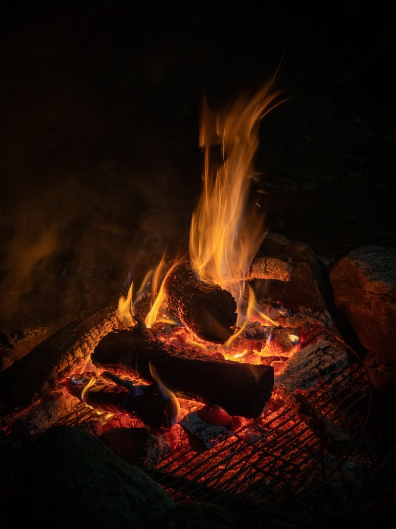 Survival Challenge Image